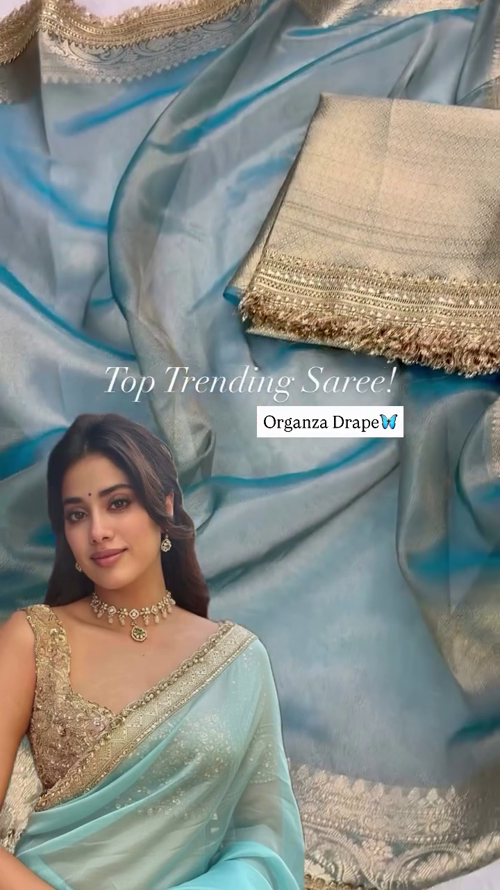 Embellished Sequinned Tissue Saree – Ethereal Shine with Timeless Festive Elegance